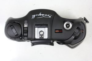 シーガル（Seagull）　DF5000 Body